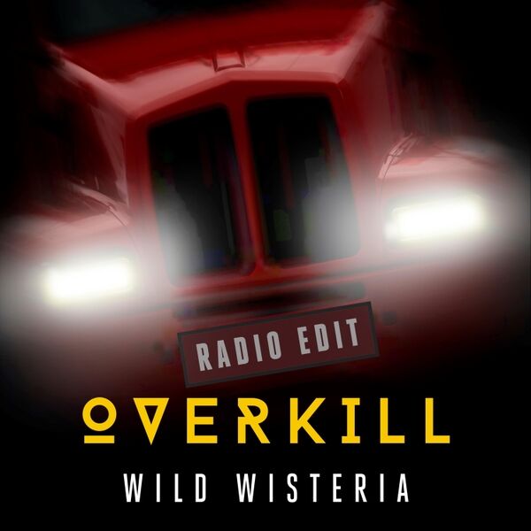 Cover art for Overkill (Radio Edit)