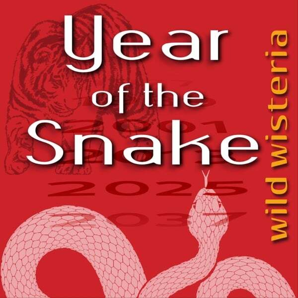 Cover art for Year of the Snake (Remix)