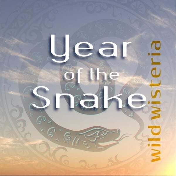 Cover art for Year of the Snake